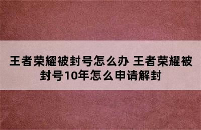 王者荣耀被封号怎么办 王者荣耀被封号10年怎么申请解封